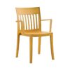 Eden Dining Arm Chair Yellow